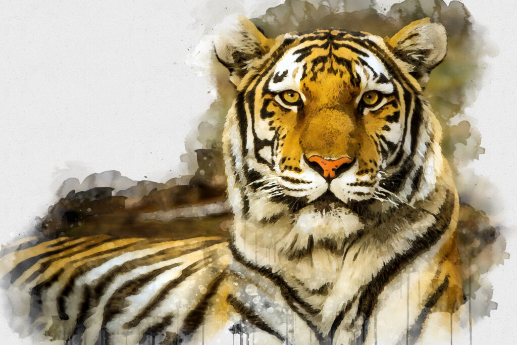 toevoegen aan paus Numeriek ToF Behang tijger schilderij met liggende tijger | ToF behang aan je muur
